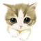 Avatar_small