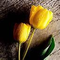 Avatar_small